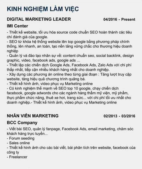 Mẫu viết kinh nghiệm làm việc trong CV cho vị trí digital marketing